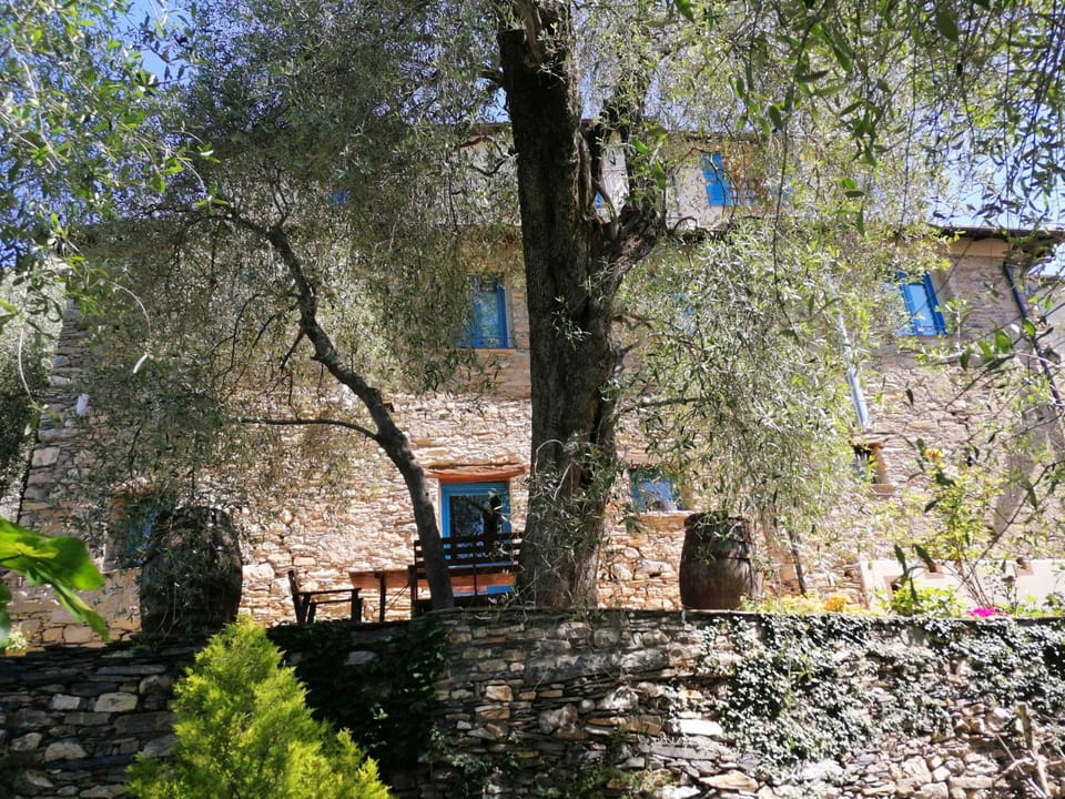 Property building, Garden, Garden view