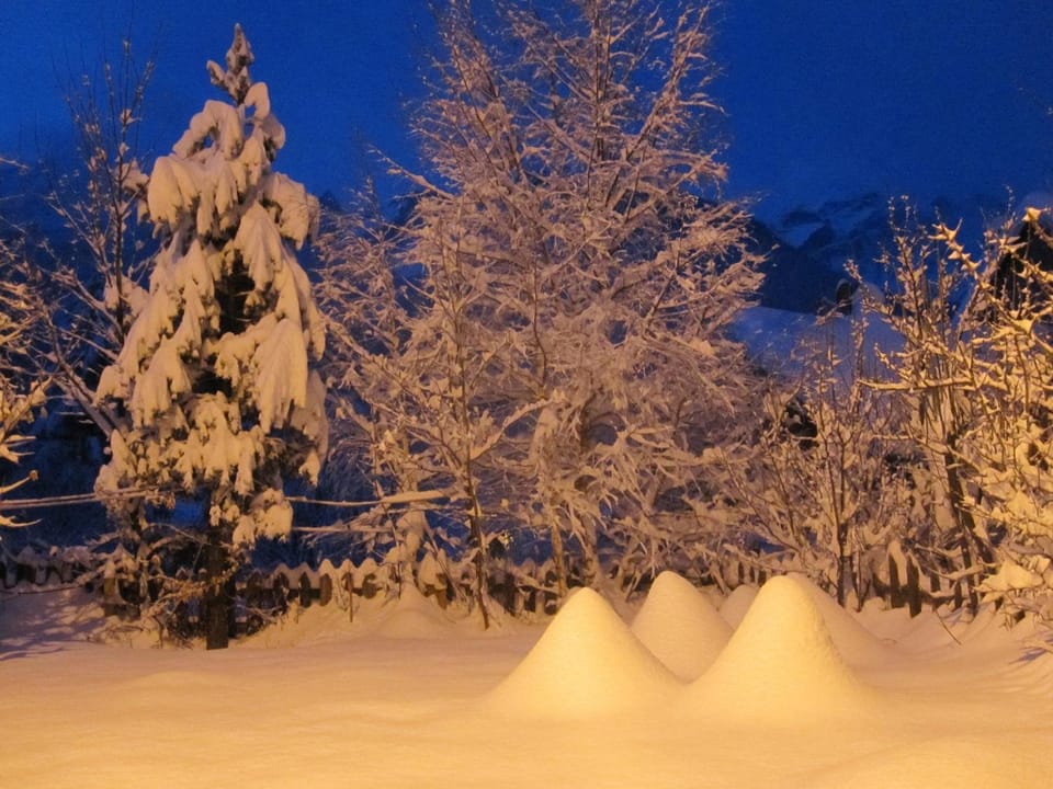 Natural landscape, Winter