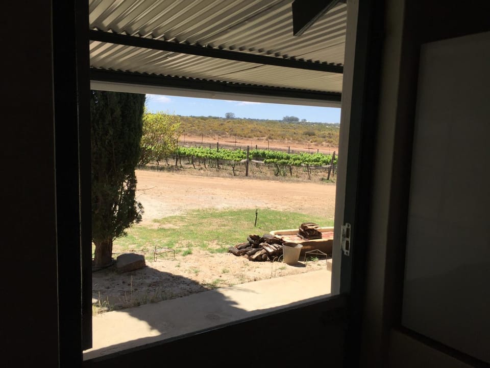 Patio, BBQ facilities, Garden