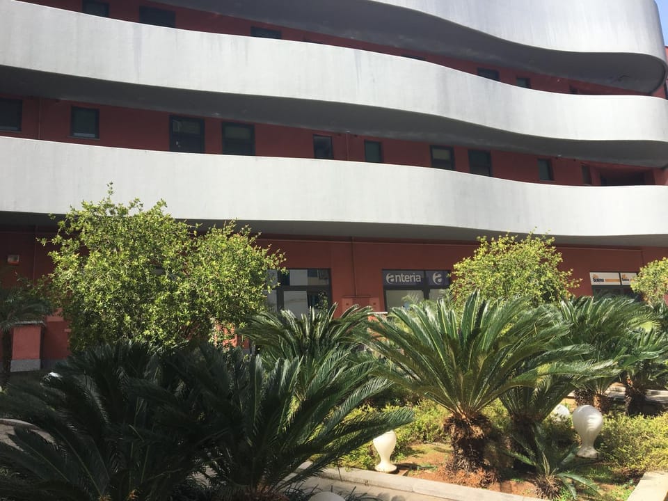 Property building, Garden view