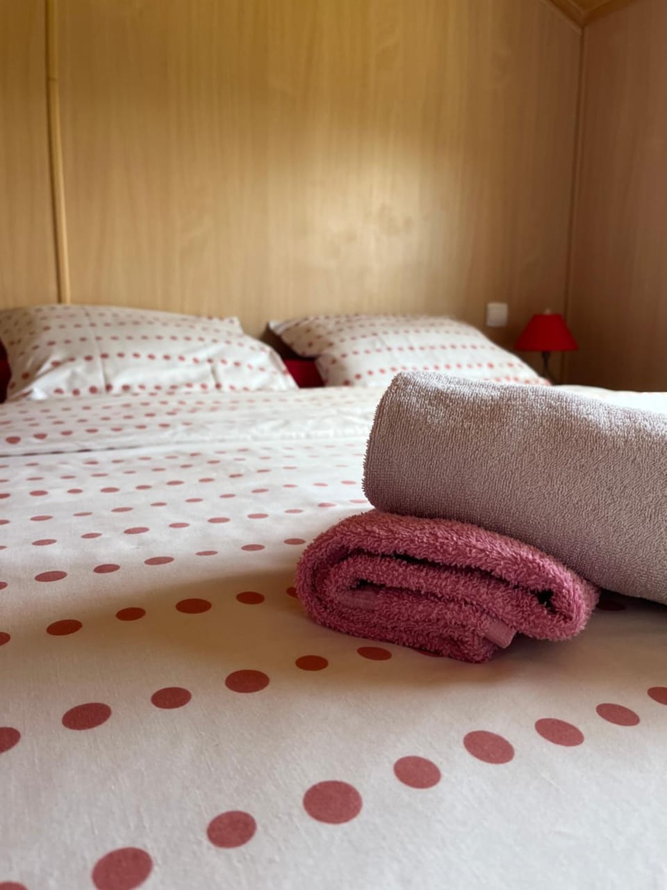 Les Chalets du Piou Chalet in Auvergne-Rhône-Alpes