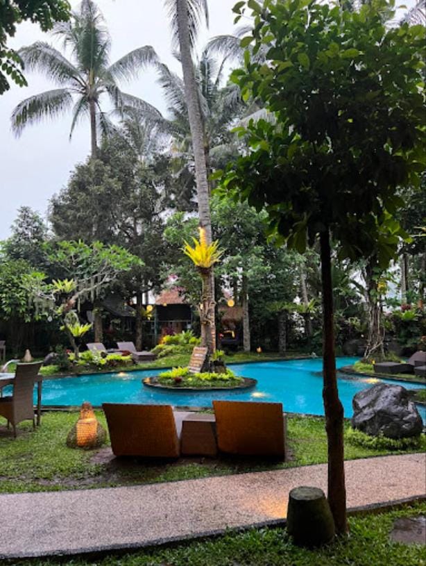 Garden, Garden view, Pool view