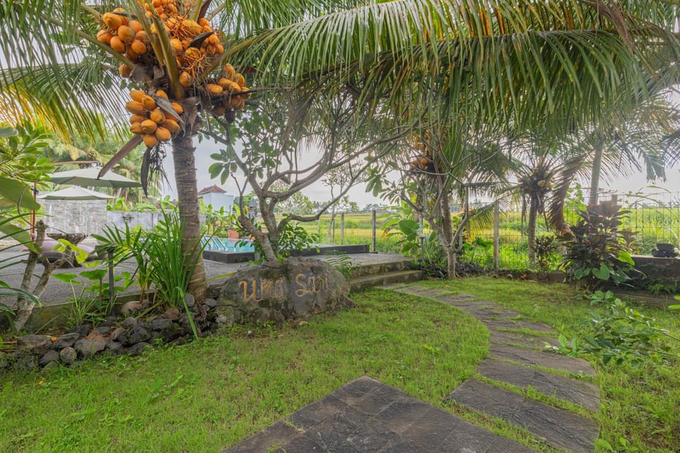 Garden, Swimming pool