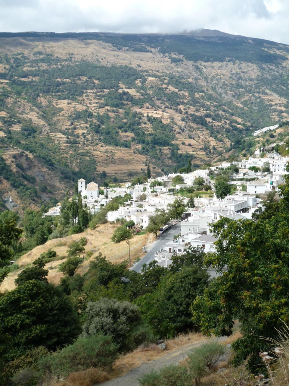 Natural landscape