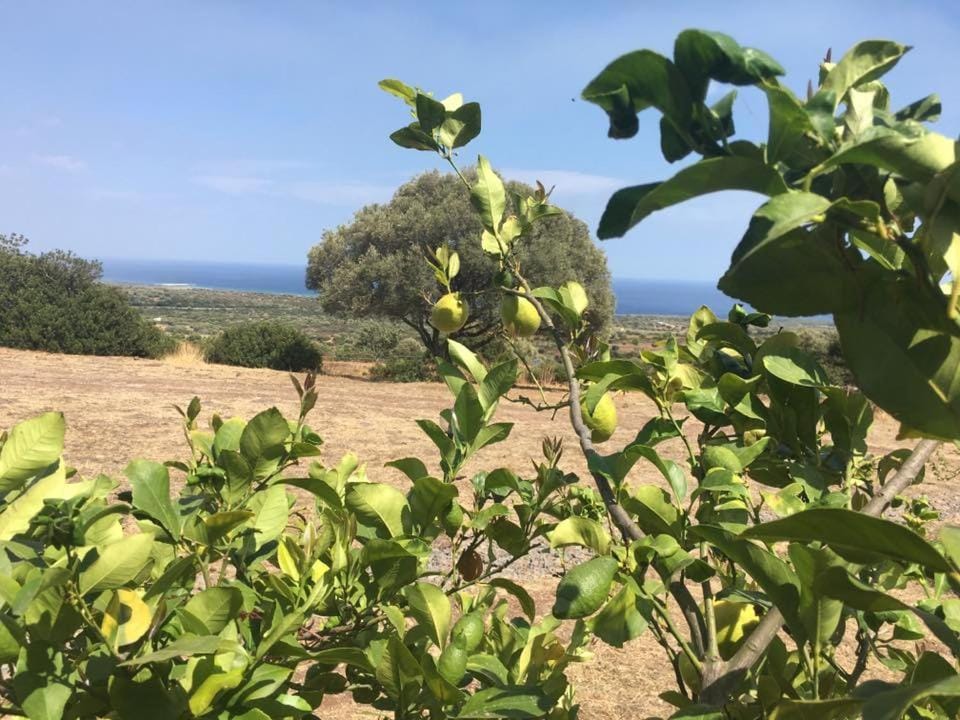 Agriturismo Su Nuragheddu Farm Stay in Sardinia