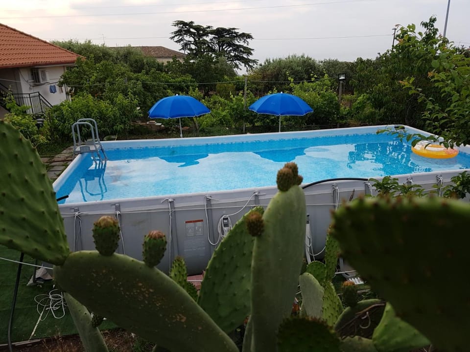 Pool view, Swimming pool, Swimming pool