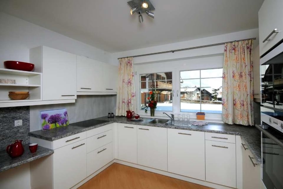 Kitchen or kitchenette, dishwasher, minibar, stove