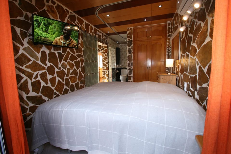 Bed, Bathroom, TV and multimedia, Other, Photo of the whole room, Decorative detail, Bedroom, Area and facilities