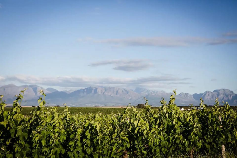Natural landscape, Mountain view, Location