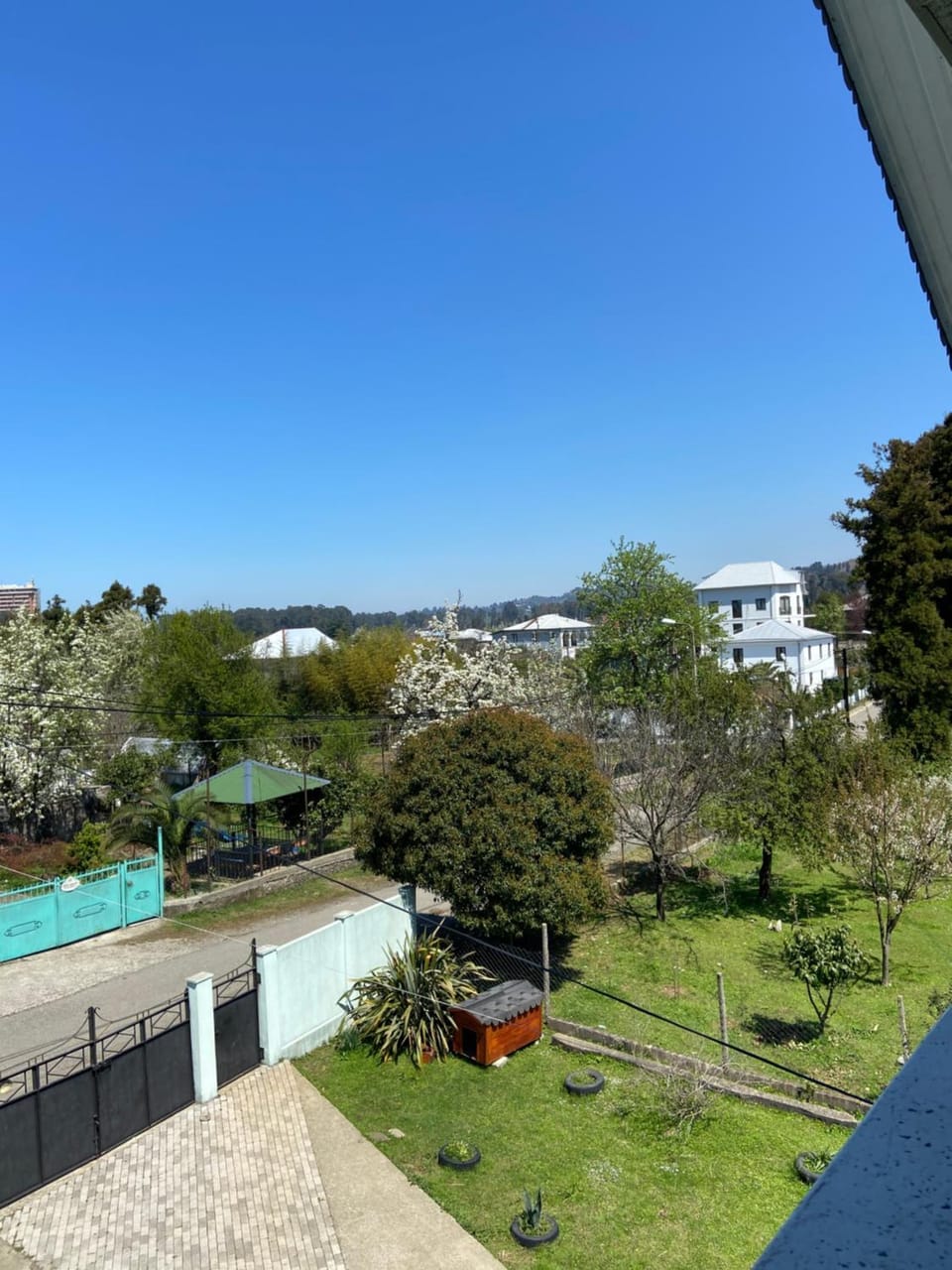 Natural landscape, Garden, Garden view