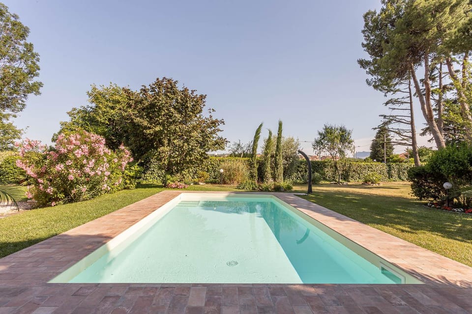 Garden, Pool view, Swimming pool