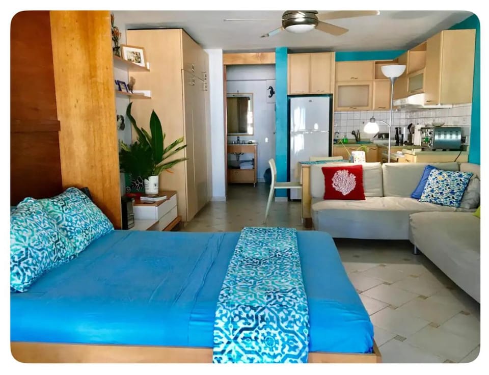 Photo of the whole room, Decorative detail, furniture, kitchen