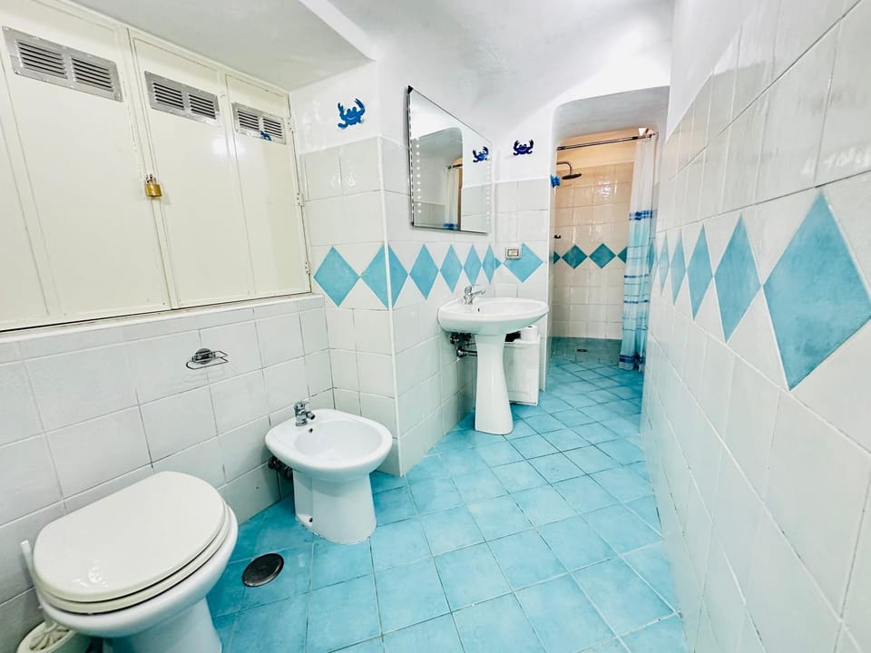 Shower, Toilet, Bathroom, bidet