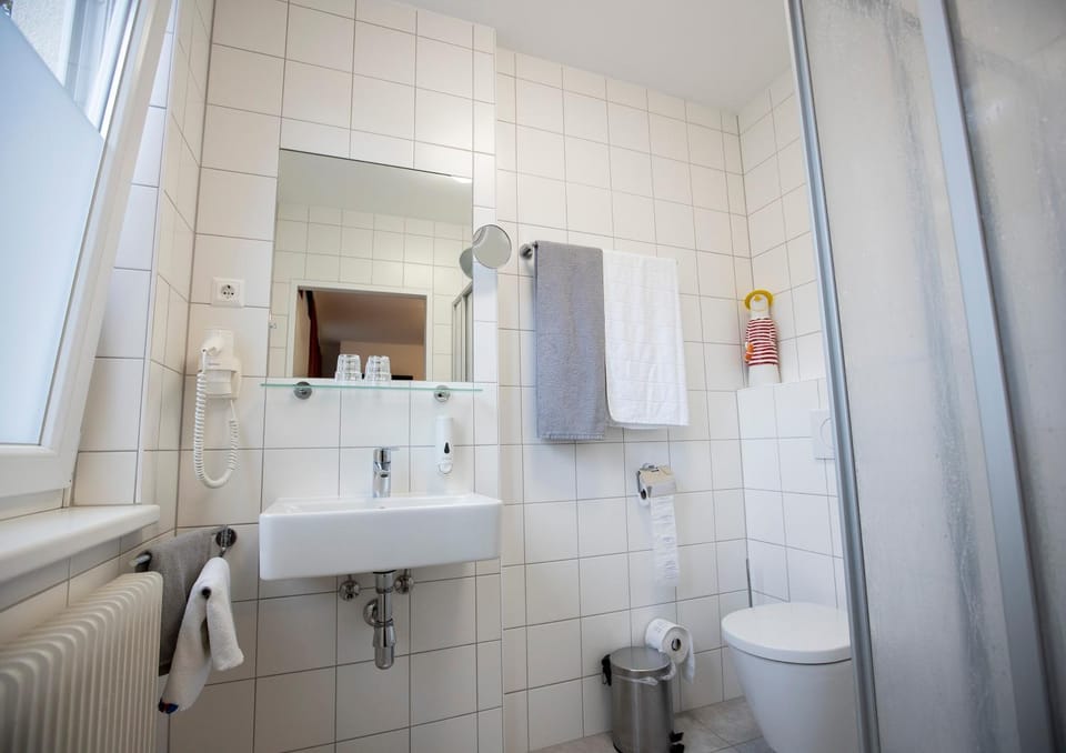 Shower, Toilet, Bathroom, towels