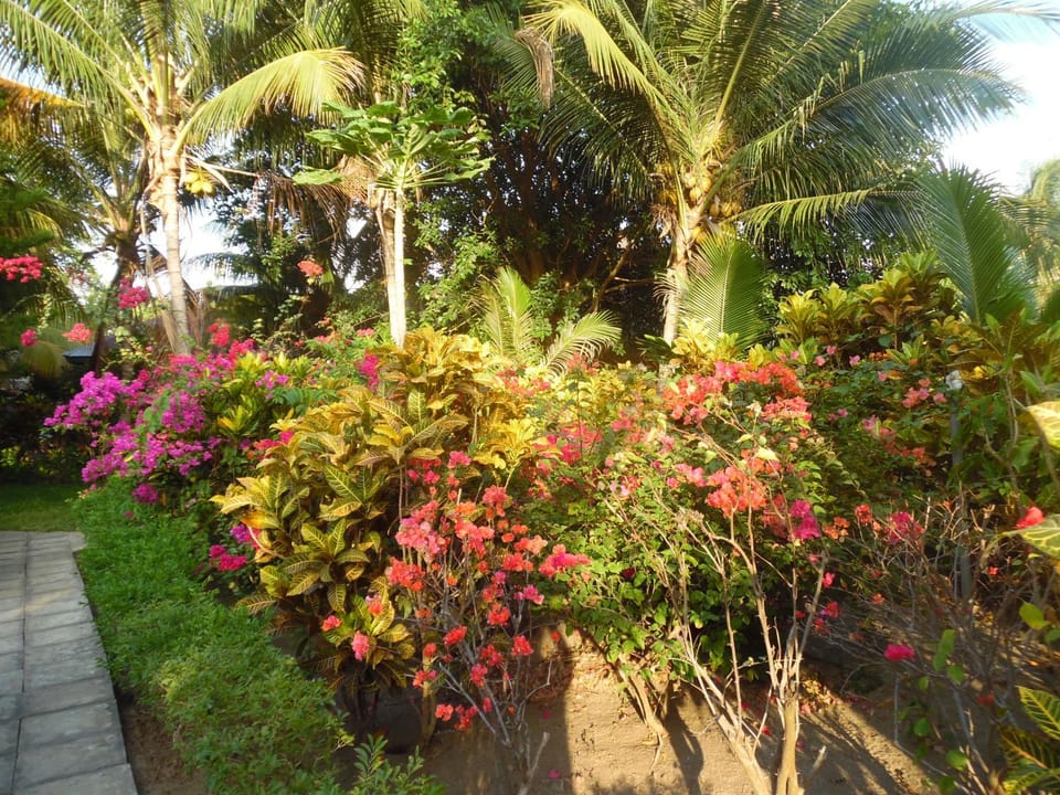 Garden, On site, Garden view