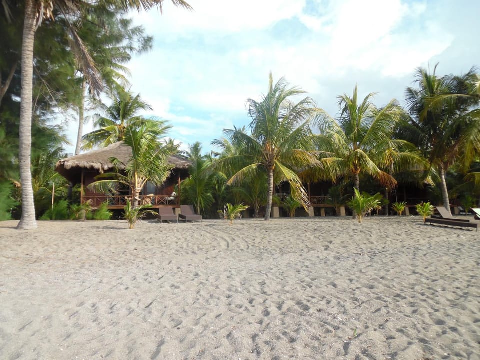 Property building, Day, Balcony/Terrace, Beach, Beach, On site, Sea view
