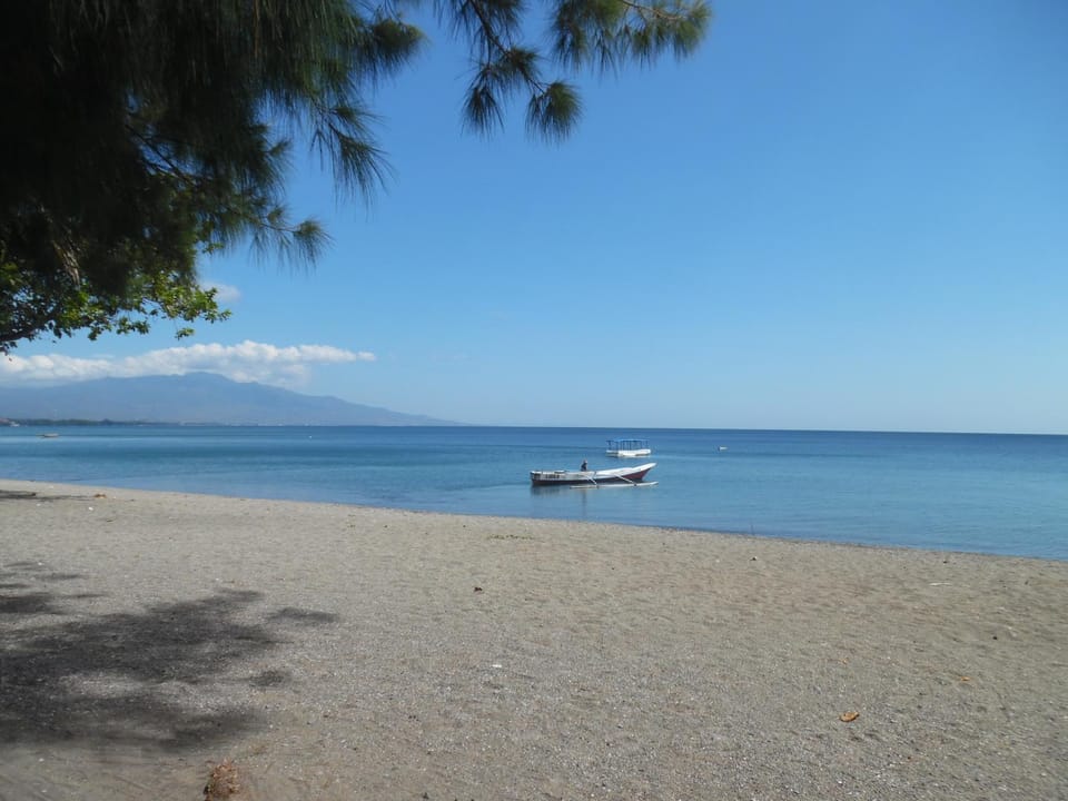 Day, Snorkeling, Beach, Beach, Diving, On site, Sea view