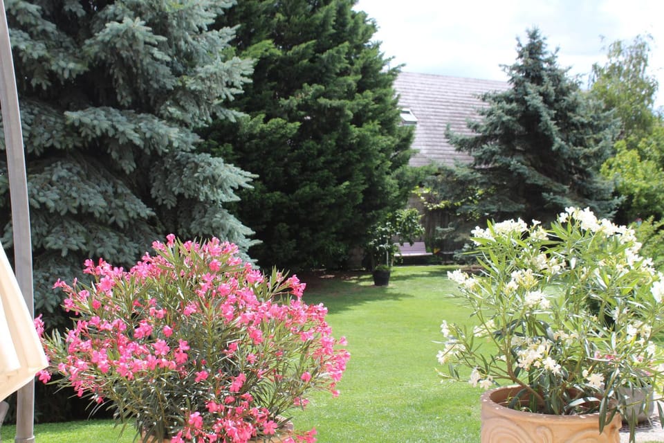 Garden, Balcony/Terrace, Garden view