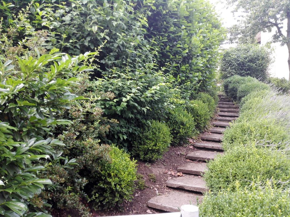 Katarina Apartment in Bled