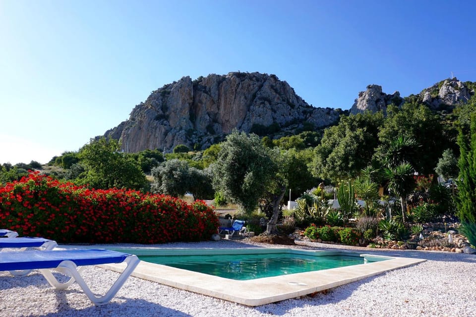 Garden, Swimming pool