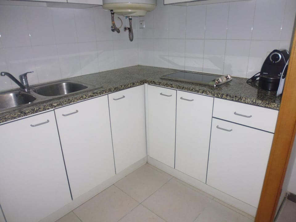 Kitchen or kitchenette, Photo of the whole room, Decorative detail