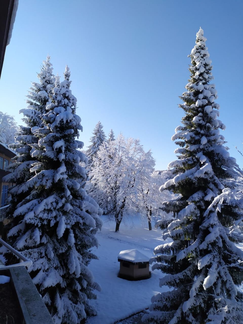 Winter