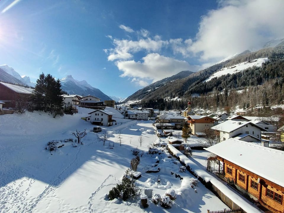 Natural landscape, Winter, Garden view