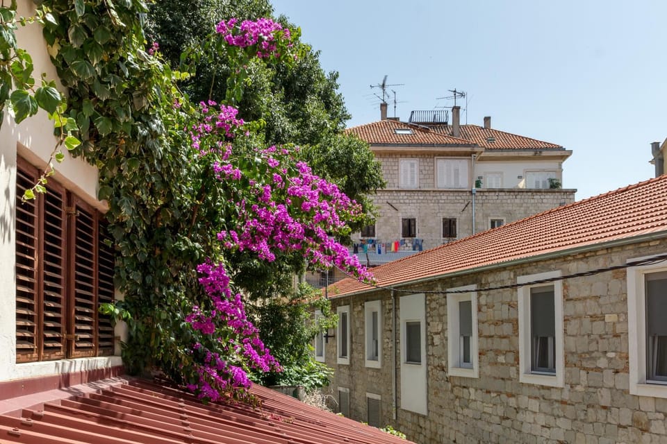 Spring, City view