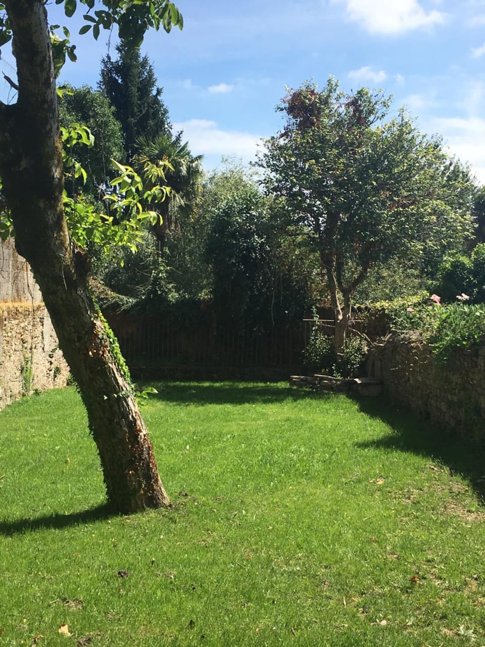 Day, Garden