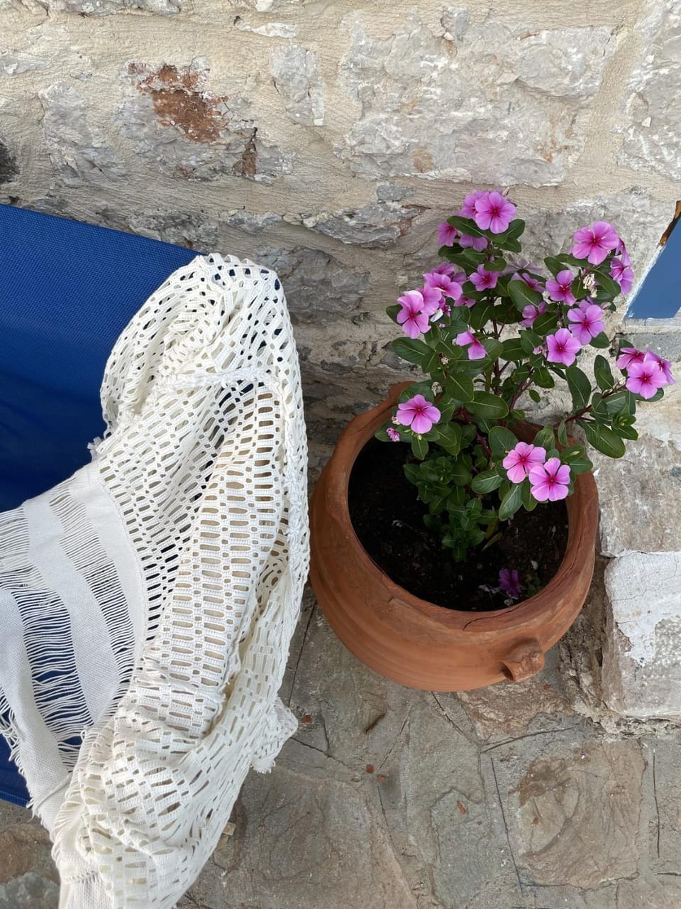 Patio, Day, Garden, Garden view