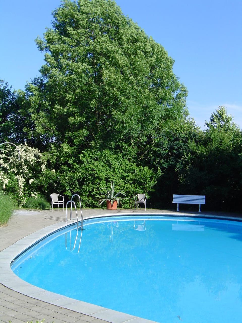 Pool view