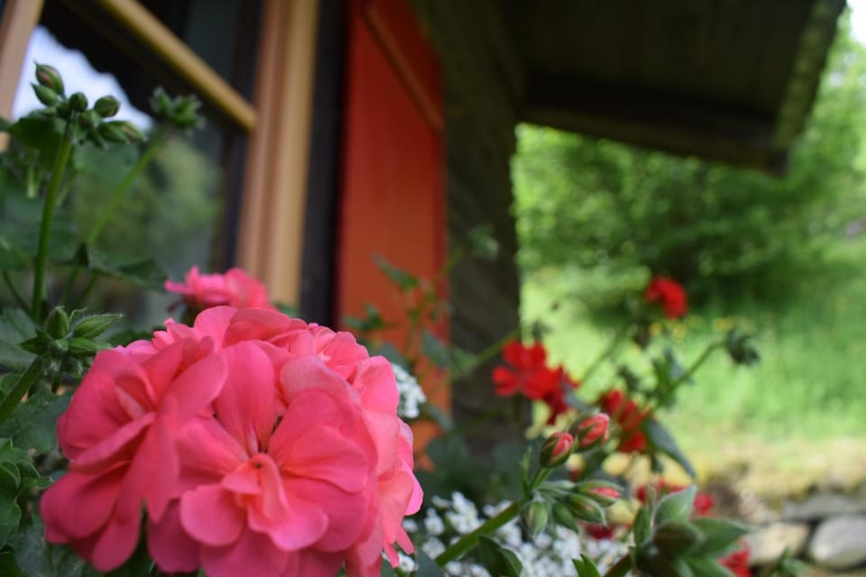 Facade/entrance, View (from property/room)
