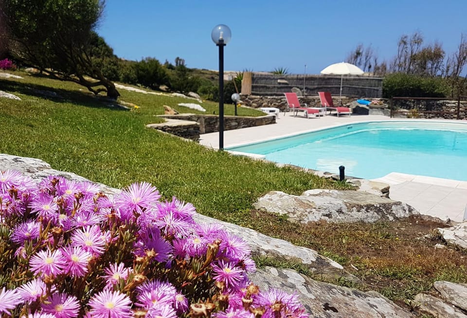 Swimming pool, Facility for disabled guests