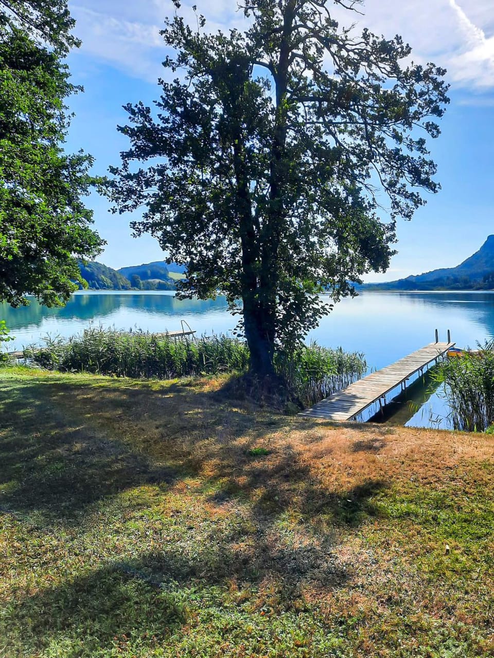 Ferienwohnungen am See Haus Spitzer Apartment in Carinthia, Austria