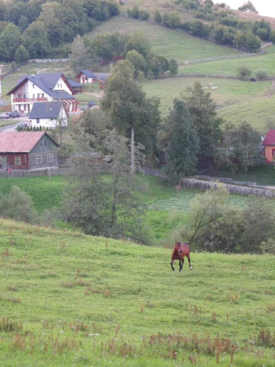 Neighbourhood, Natural landscape, Bird's eye view
