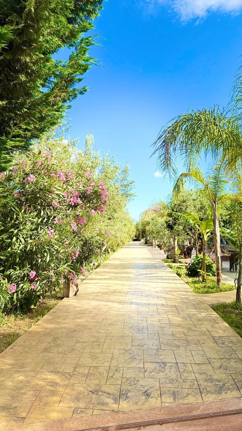 Spring, Garden