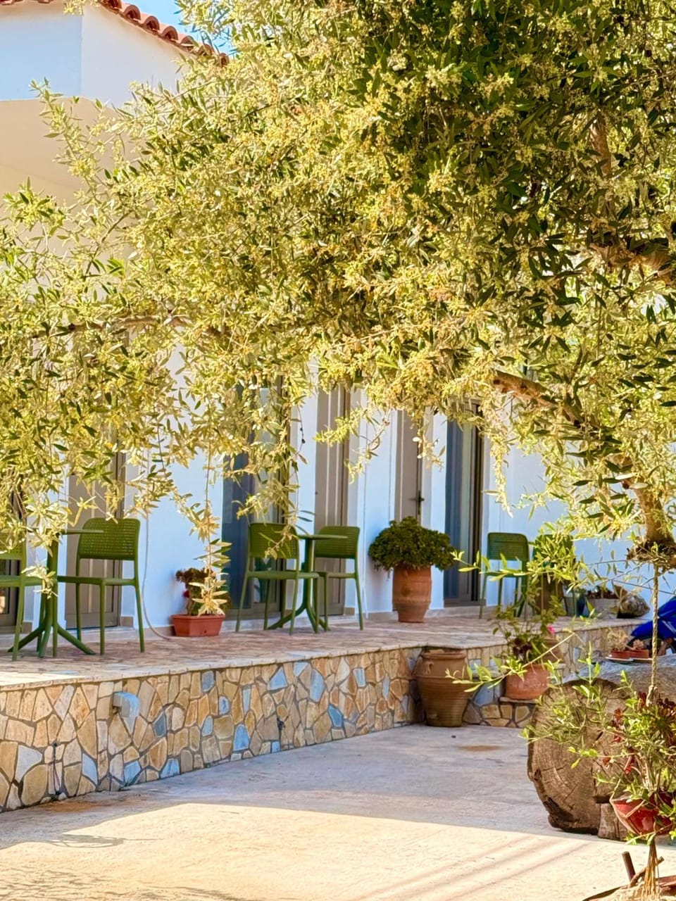 Rida Village Ksamil Island Bed and Breakfast in Ksamil