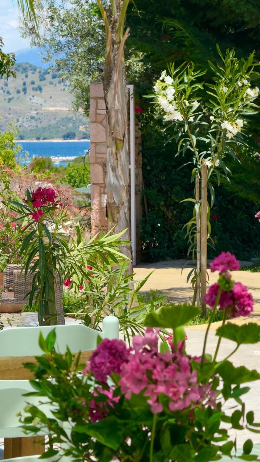 Lake view, Swimming pool