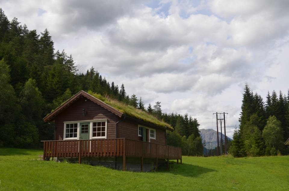 Shower, Toilet, Property building, Bathroom