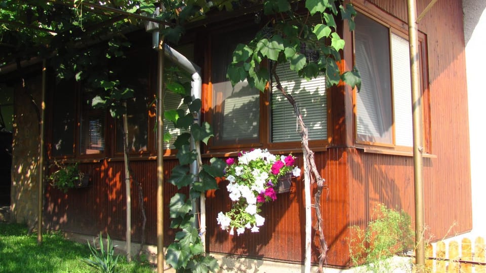 Patio, Facade/entrance, Garden
