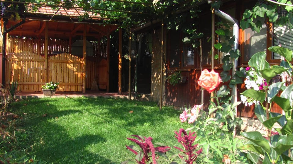 Patio, Garden