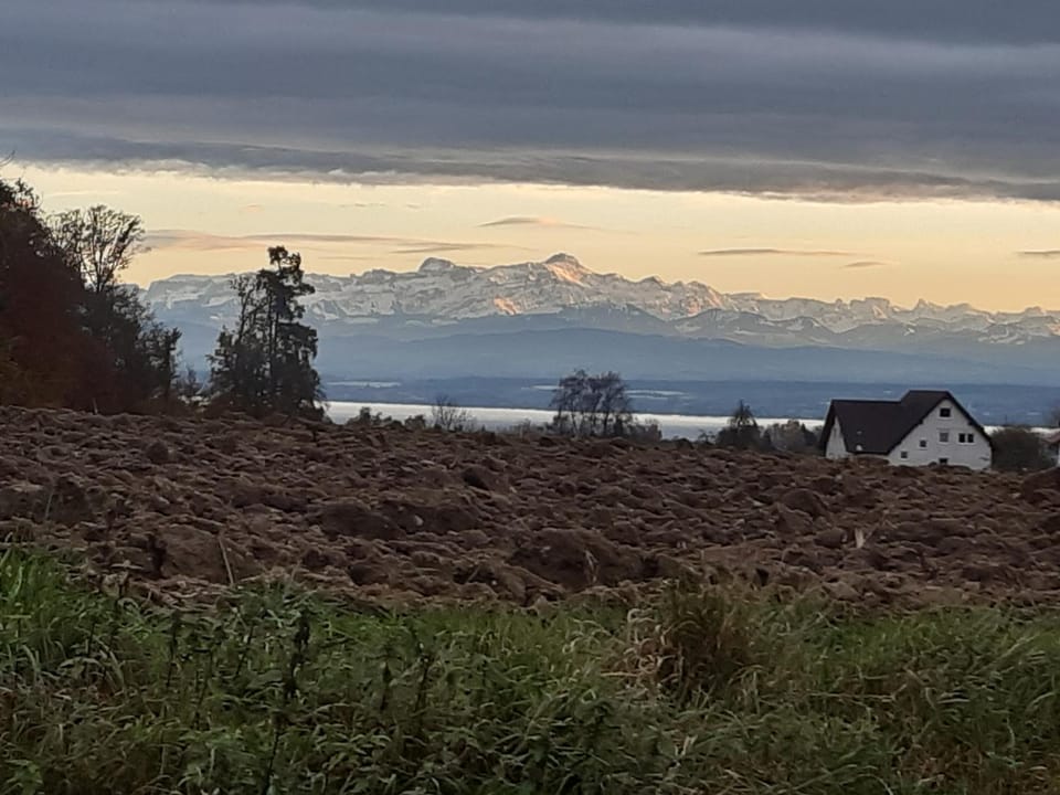 Ferienzentrum Bodensee Apartment in Baden-Württemberg