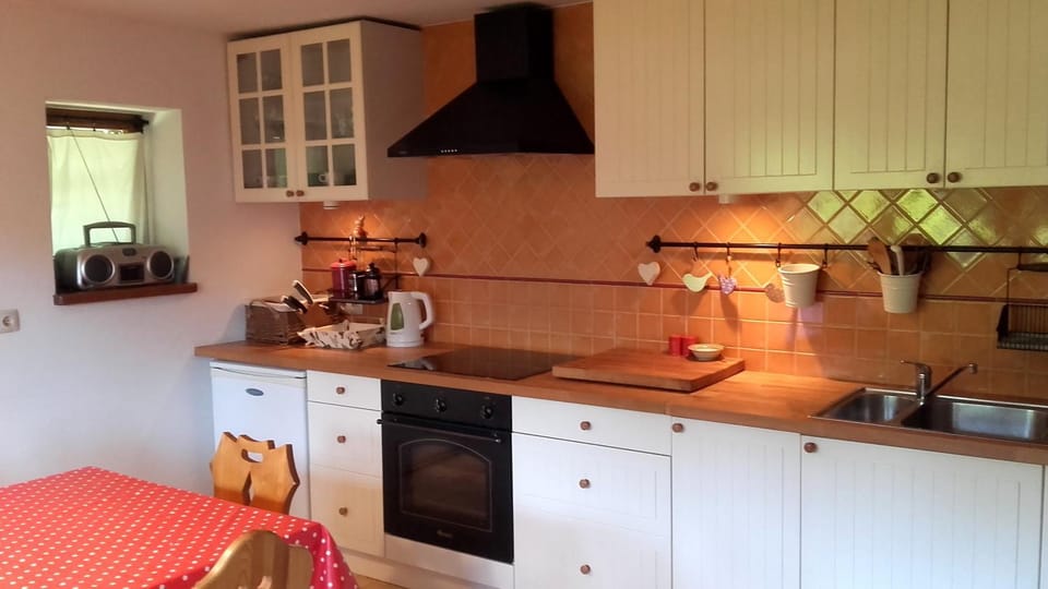 Kitchen or kitchenette, Dining area, dishwasher, stove