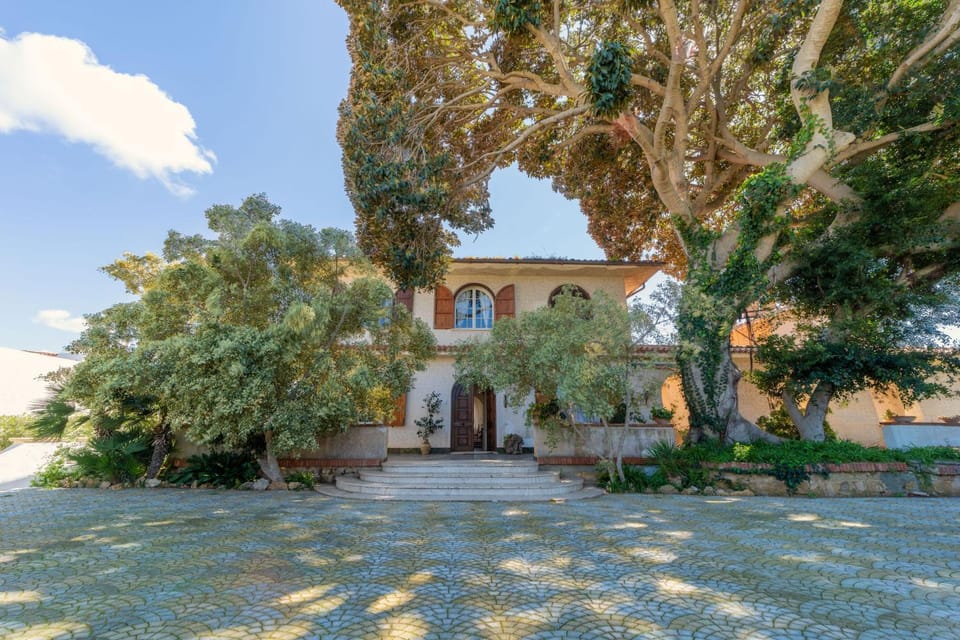Property building, Facade/entrance, Garden