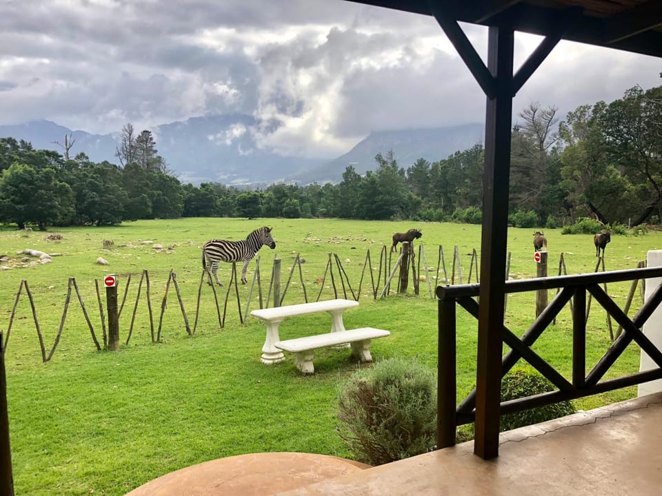 Franschhoek Country Cottages Nature lodge in Western Cape