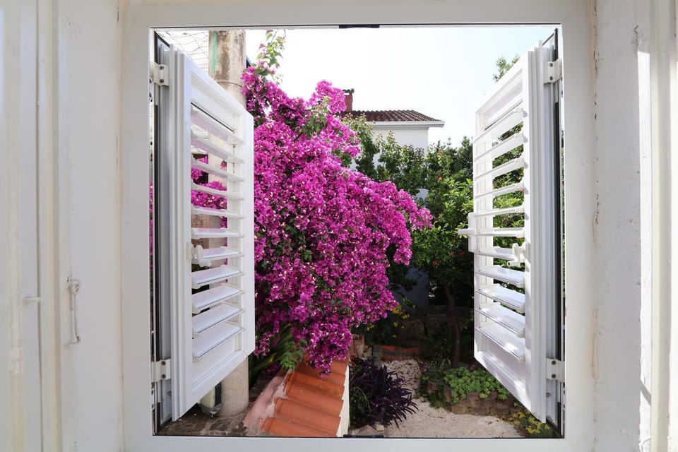 Spring, Day, Garden, Garden view