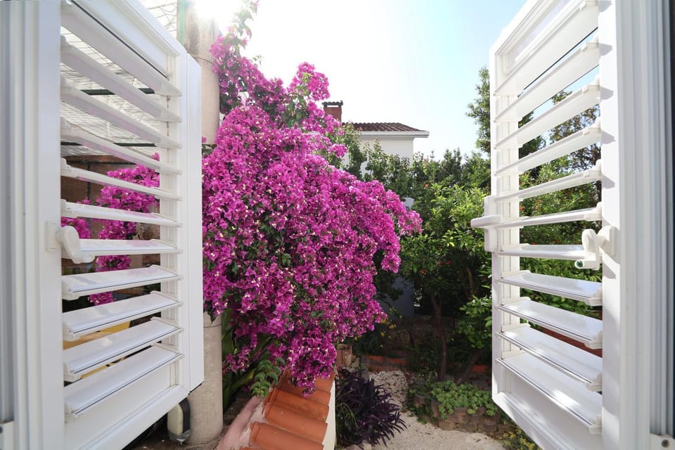 Day, Garden, Garden view