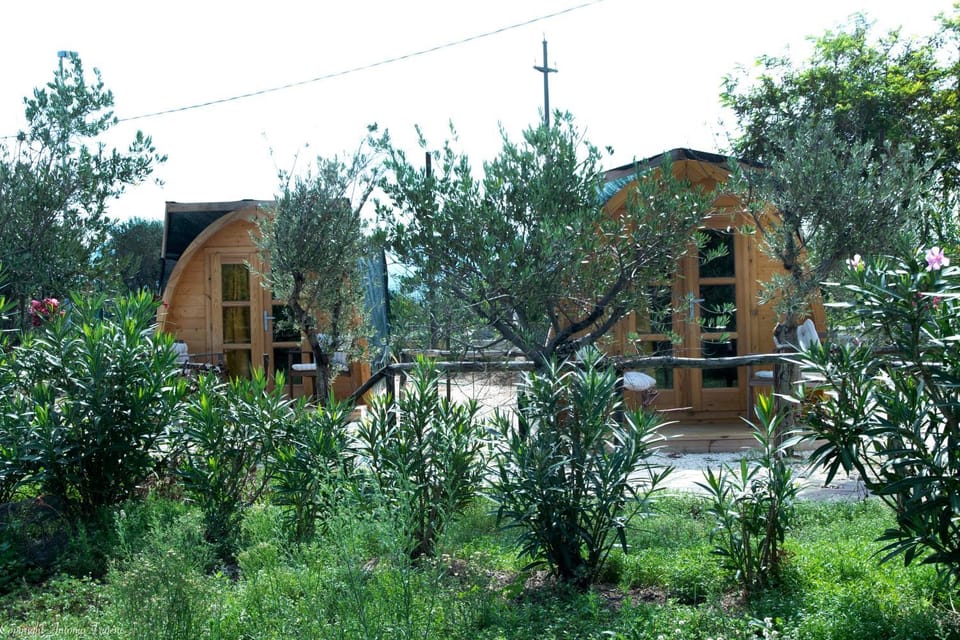 Property building, Garden