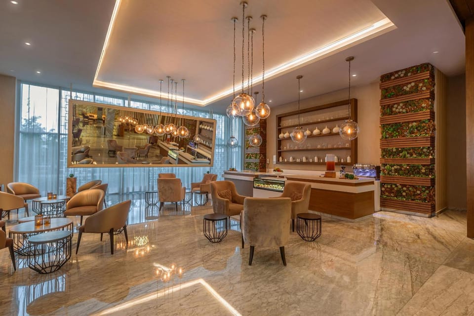 Lounge or bar, Seating area
