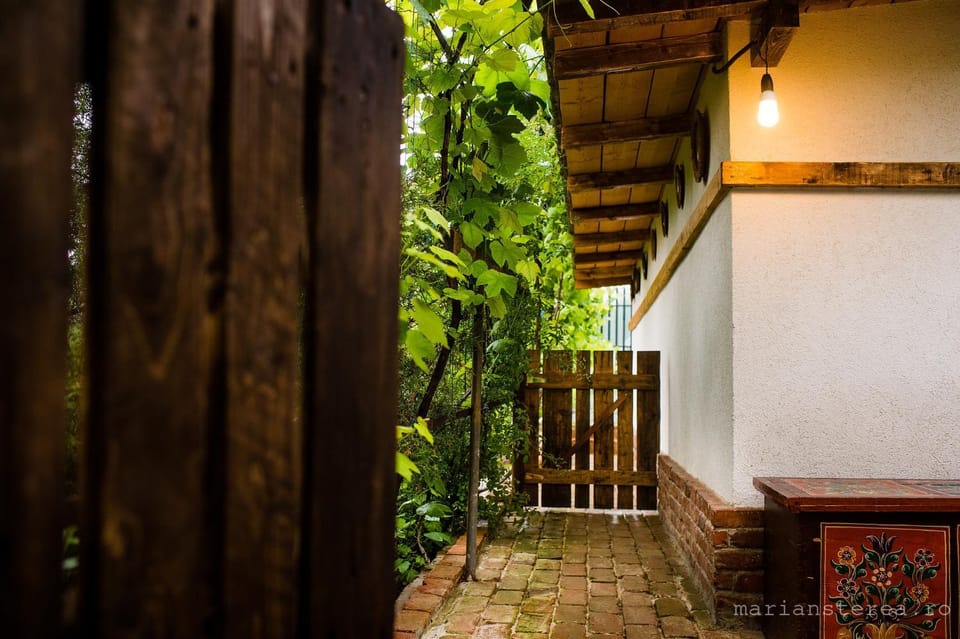 Patio, Facade/entrance